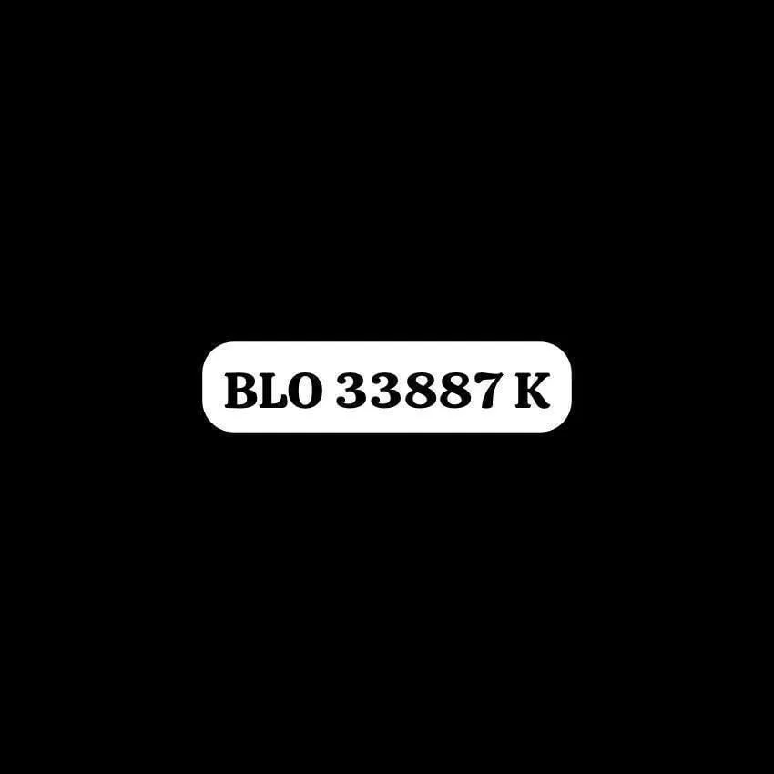 BLO 33887 K