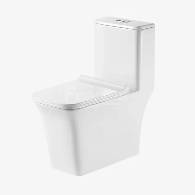 Frencia one-piece toilet, square